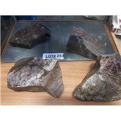 AMMOLITE