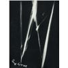 Image 2 : Moholy Nagy Hungarian Constructivist Photogram