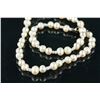 Image 3 : Three Pieces of Pearl Necklaces