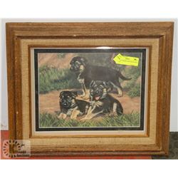 16" X 18" FRAMED SHEPARD PUPPIES PRINT