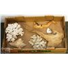 Image 1 : FLAT WITH CORAL, DRIFT WOOD & CONCH SHELL