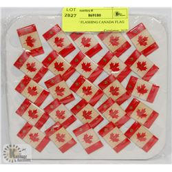TRAY OF FLASHING CANADA FLAG PINS