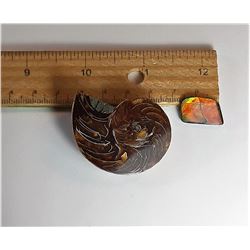 13)  RED & GREEN FIRE AMMOLITE GEMSTONE