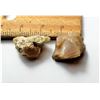 Image 1 : 12)  LOT OF 2 ROUGH ETHIOPIAN OPALS
