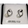 Image 1 : NEW PAIR OF 14 KT WHITE GOLD W/GENUINE