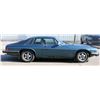 Image 8 : 1985 JAGUAR XJS HE