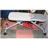 Image 1 : WORKOUT BENCH