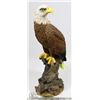 Image 1 : EAGLE STATUE - 15 INCHES TALL - GENERAL,