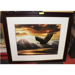 FRAMED EAGLE PICTURE MATTED BY RONNIE HEDGE.