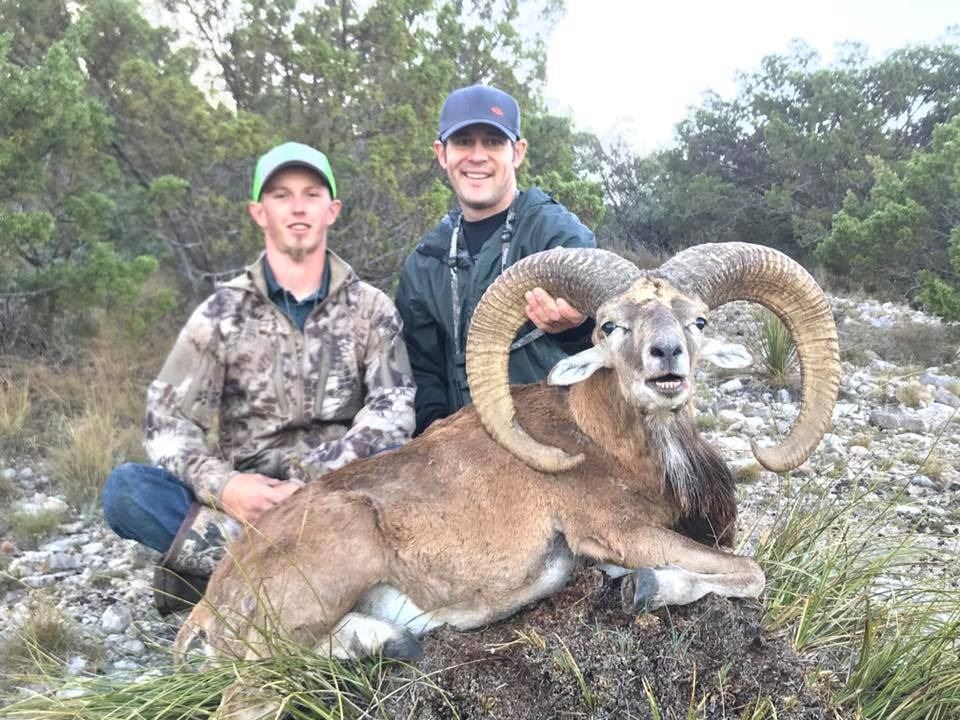 TEXAS DIVIDE: 2-Day/2-Night Afghan Urial Ram Hunt for One Hunter and One Non-Hunter in Texas - Inclu