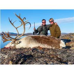 MAGIC SAFARI: 3-Day Caribou Hunt for One Hunter and One Non-Hunter in Southwest Greenland - Includes