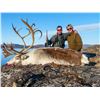 Image 1 : MAGIC SAFARI: 3-Day Caribou Hunt for One Hunter and One Non-Hunter in Southwest Greenland - Includes