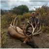 Image 1 : NORTH RIM: 4-Day Rocky Mountain Elk Hunt for One Hunter in Colorado - Includes Trophy Fee