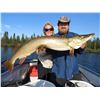 Image 1 : SCOTT LAKE: 5-Day Luxury Fishing Trip for Two Anglers in Saskatchewan, Canada