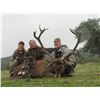 Image 1 : PROHUNT SPAIN: 6-Day Iberian Red Deer Hunt for One Hunter and One Non-Hunter in Spain - Includes Tro
