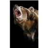 Image 1 : MAXWELL'S ART: "Imminent Doom" - Framed Limited Edition Giclee Print by Sally Maxwell