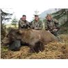 Image 1 : MIKE ODIN'S ALASKA: 9-Day Coastal Brown Bear Hunt for One Hunter in Alaska