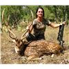 Image 1 : RECORDBUCK RANCH: 3-Day/3-Night Exotic Game Trophy Hunt for One Hunter and One Non-Hunter with CRAIG