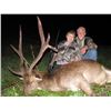 Image 1 : KURANUI: 5-Day Rusa and Red Stag Hunt for Two Hunters in New Zealand  - Includes Trophy Fees and Tro