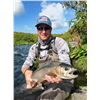 Image 1 : WILMAN LAKE LODGE: 7-Day Deluxe Fishing Adventure for Two Anglers in Alaska