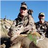 Image 2 : DIAMOND OUTFITTERS: 5-Day Coues Whitetail Deer and Mountain Lion Hunt for Two Hunters in Arizona - I