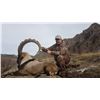 Image 1 : RECEP ECER: 5-Day Bezoar Ibex Hunt for One Hunter in Turkey - Includes Trophy Fee