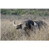 Image 1 : WORLD's END: 7-Day Big Game Hunt for Three Hunters in Argentina - Includes Trophy Fees