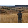 Image 2 : WOW AFRICA: 9-Day Plains Game Safari for Two Hunters and Two Non-Hunters in South Africa - Includes 