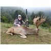 Image 1 : NEWZEALANDHUNTING.COM: 5-Day Fallow Deer Hunt for Two Hunters in New Zealand - Includes Trophy Fees