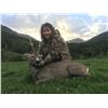 Image 1 : HUNT TRIP SPAIN: 4-Day Roe Deer Hunt for Two Hunters and Two Non-Hunters in Spain