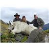 Image 1 : LOVE BROS: 10-Day Mountain Goat Hunt for One Hunter in British Columbia