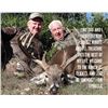 Image 1 : FTW/SAAM: 4-Day SAAM™ Precision & Safari Hunt Combo for Two Hunters in Texas - Includes Trophy Fee C