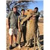 Image 1 : DZOMBO HUNTING: 14-Day Leopard Hunt for One Hunter in Namibia - Includes  Taxidermy, Evacuation Insu