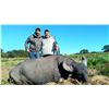 Image 1 : TS BUENOS: 4-Day Water Buffalo and Pampas Ram Hunt for Three Hunters in La Pampa, Argentina - Includ