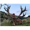 Image 1 : SPEY CREEK: 5-Day Red Stag Hunt for Two Hunters and Two Non-Hunters in New Zealand - Includes Trophy