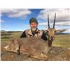 Image 1 : MADUBULA: 10-Day Multi-Plains Game Safari for One Hunter and One Non-Hunter in Eastern Cape, South A