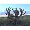 Image 1 : ALGAR SAFARIS5-Day Red Stag Hunt for Two Hunters in Argentina - Includes Trophy Fees