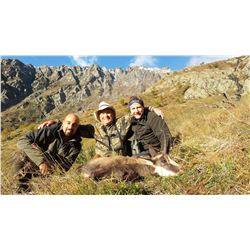 ITALIAN SAFARIS: 3-Day/4-Night Alpine Chamois Hunt for Two Hunters and Two Non-Hunters in Piedmont, 