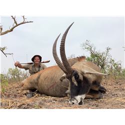 CLUB FAUNE: 7-Day Western African Savannah Buffalo OR Roan Antelope Hunt for One Hunter and One Non-