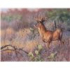 Image 1 : CYNTHIE FISHER: "Hill Country Monarch" - Original Acrylic Painting by Cynthie Fisher