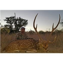 Y.O. RANCH: 3-Day Exotic Species Hunt for Two Hunters and Two Non-Hunters at the Y.O. Ranch in Texas