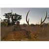 Image 1 : Y.O. RANCH: 3-Day Exotic Species Hunt for Two Hunters and Two Non-Hunters at the Y.O. Ranch in Texas