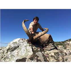 GUILLERMO ROWE: 5-Day Spanish Ibex Hunt for One Hunter in Spain - Includes Trophy Fee