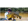 Image 2 : RIVER PLATE: 4-Day Dove Hunt and Dorado Fishing Adventure for Four in Argentina