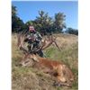 Image 1 : PORONUI: $15,000 CREDIT Towards a Customized Safari in New Zealand