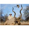 Image 1 : CHORONGA: 10-Day Plains Game Safari for Two Hunters in Botswana - Includes Trophy Fees