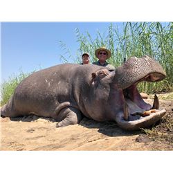 THORMAHLEN: 10-Day Trophy Hippo Hunt for One Hunter and One Observer in Namibia - Includes Trophy Fe