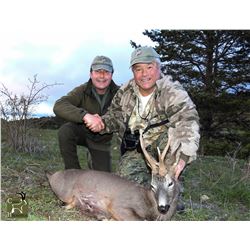 CAZA HISPANICA: 5-Day Roe Deer and Iberian Mouflon Sheep Hunt for One Hunter in Spain - Includes Tro
