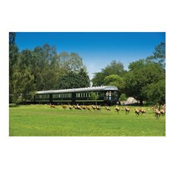 ROVOS RAIL: 5-Day Luxurious Rovos Rail Wingshooting Adventure for One Hunter and One Non-Hunter in S