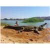 Image 1 : WES HIXON: 7-Day Giant Crocodile Hunt for Two Hunters in Mozambique